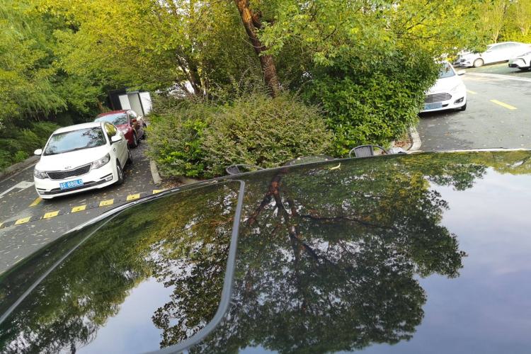 Used Honda e:NP2 2024 Advanced Edition Roof