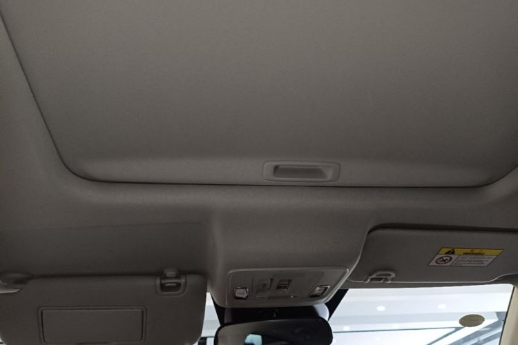 Used Honda e:NP2 2024 Advanced Edition Headliner