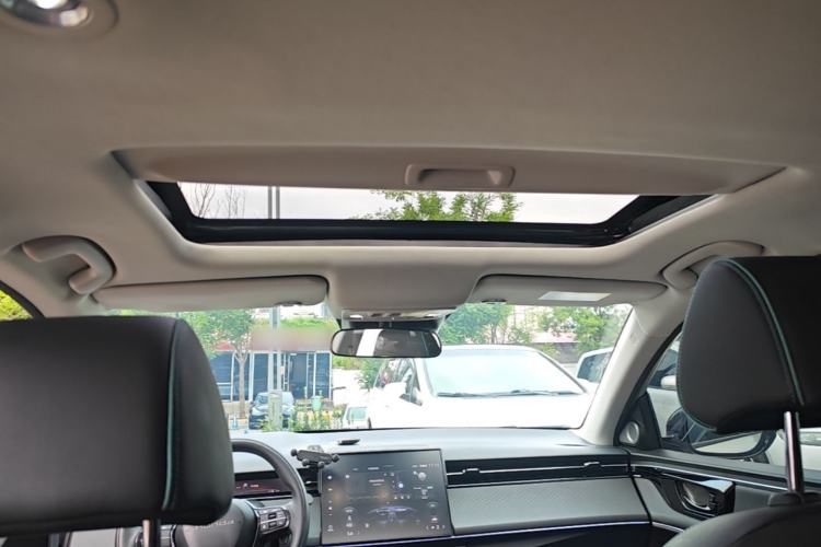 Used Honda e:NP2 2024 Advanced Edition Headliner