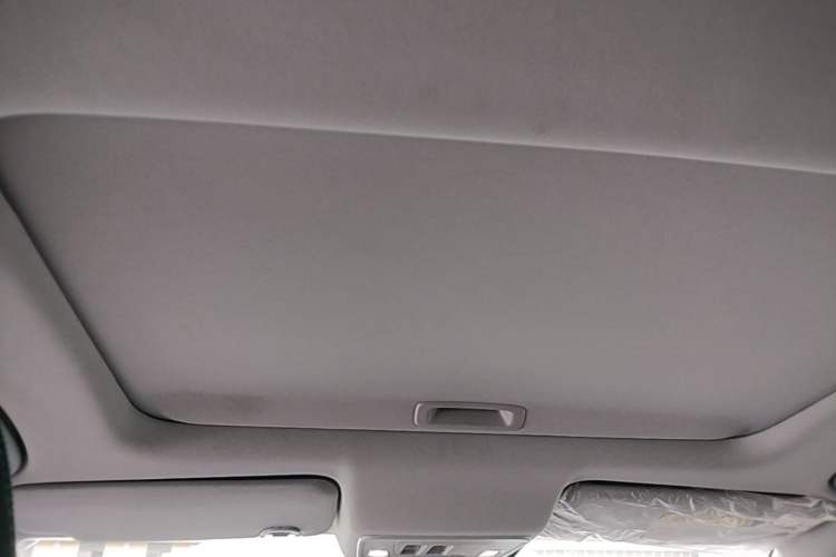 Used Honda e:NP2 2024 Advanced Edition Headliner
