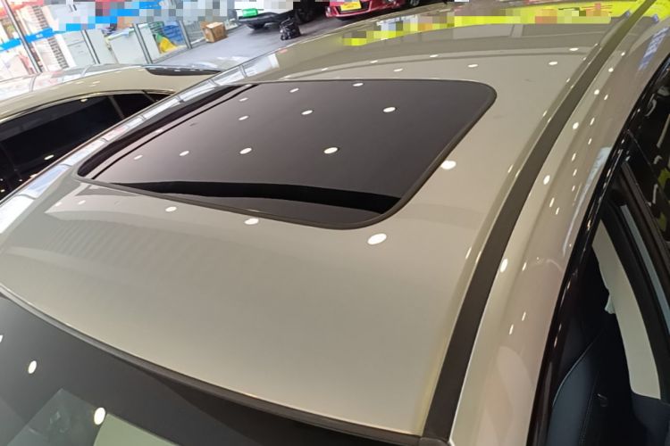 Used Honda e:NP2 2024 Advanced Edition Roof