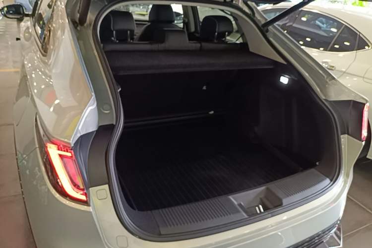 Used Honda e:NP2 2024 Advanced Edition Trunk
