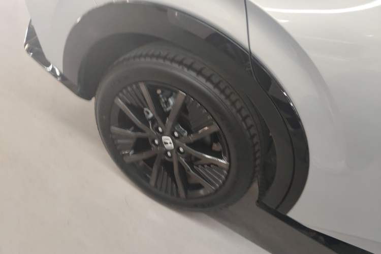 Used Honda e:NP2 2024 Advanced Edition Exterior 5