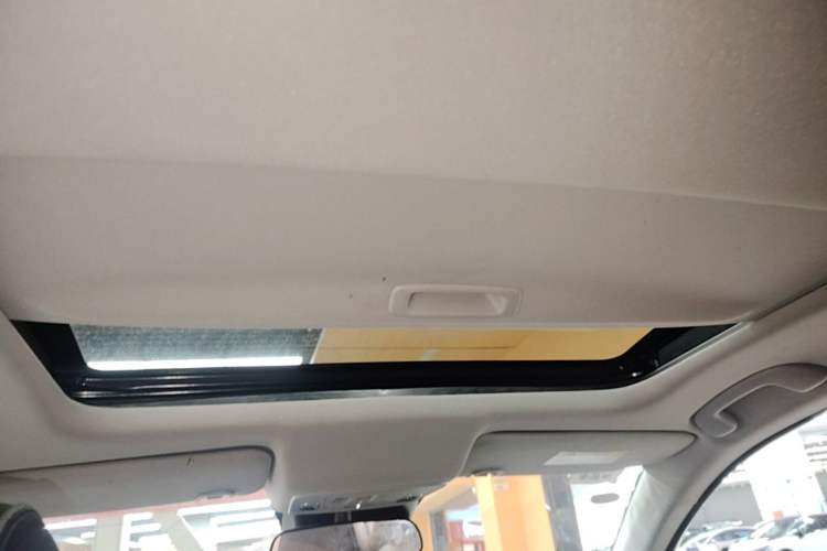 Used Honda e:NP2 2024 Advanced Edition Headliner