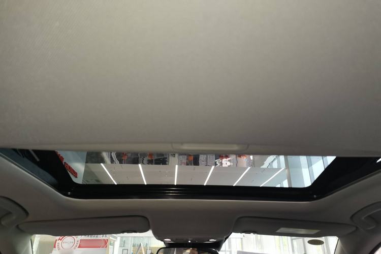 Used Honda e:NP2 2024 Advanced Edition Headliner
