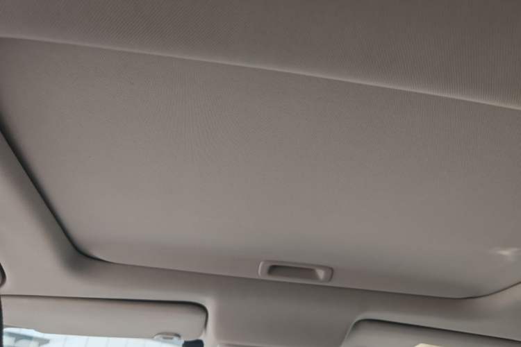 Used Honda e:NP2 2024 Advanced Edition Headliner
