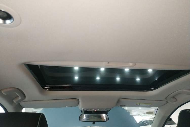 Used Honda e:NP2 2024 Advanced Edition Headliner