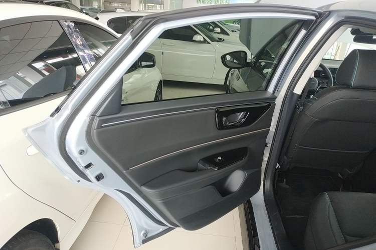 Used Honda e:NP2 2024 Advanced Edition Left Rear Door Interior