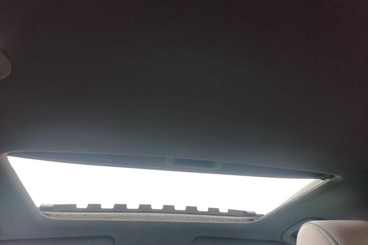Used Honda e:NP2 2024 Advanced Edition Headliner