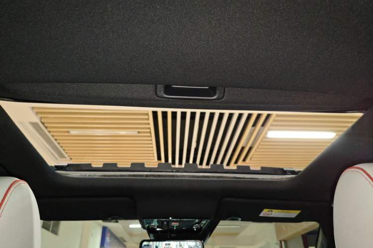 Used Honda e:NS2 2024 Light-Chasing Version Headliner