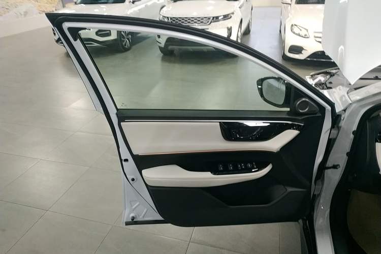 Used Honda e:NS2 2024 Ignite Edition Left Front Door Interior