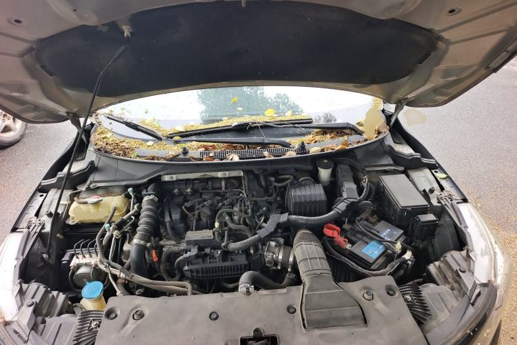 Used Honda Envix 2019 180TURBO CVT Enjoyment Version China VI Engine Bay