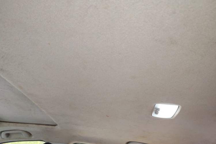 Used Honda Envix 2019 180TURBO CVT Enjoyment Edition China VI Headliner