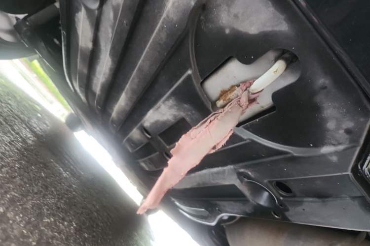 Used Honda Envix 2019 180TURBO CVT Enjoyment Edition China VI Chassis Rear
