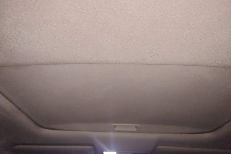 Used Honda Fit 2011 1.5L manual luxury version Headliner
