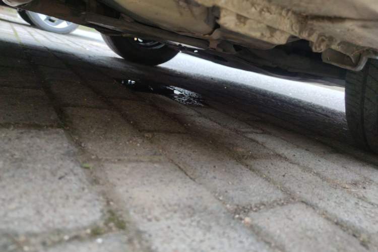 Used Honda Fit 2014 1.5L LX CVT Comfort Model Chassis Rear Right