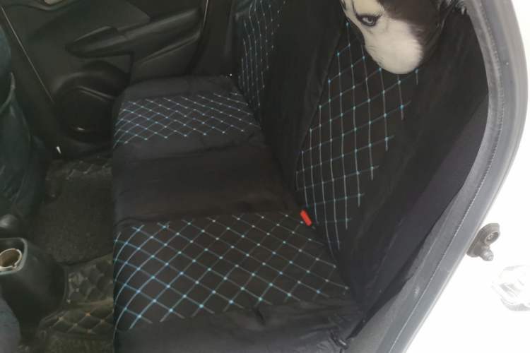 Used Honda Fit 2014 1.5L LX CVT Comfort Model Left Rear Seat