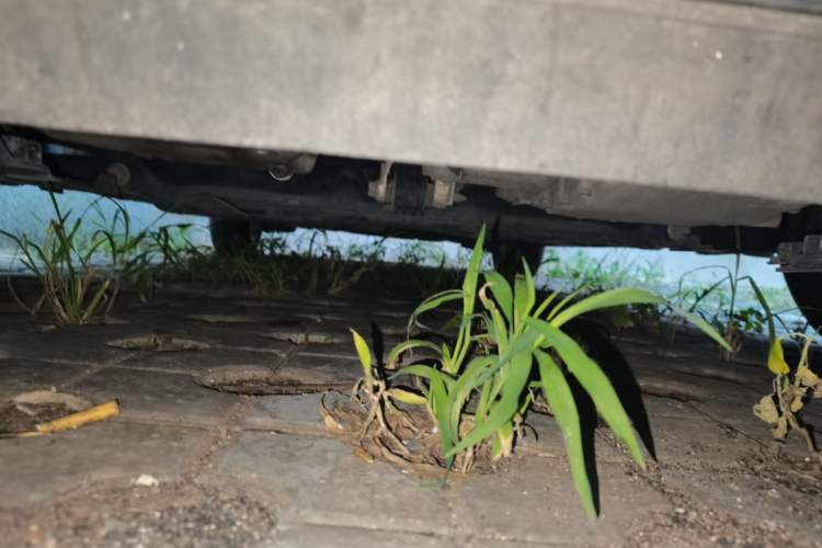Used Honda Fit 2016 1.5L LXS CVT Comfort Sunroof Version Chassis Front