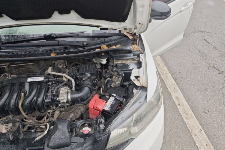 Used Honda Fit 2016 1.5L LXS CVT Comfort Sunroof Version Engine Bay Left