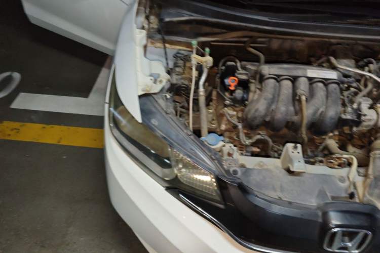 Used Honda Fit 2016 1.5L LXS CVT Comfort Sunroof Version Engine Bay Right