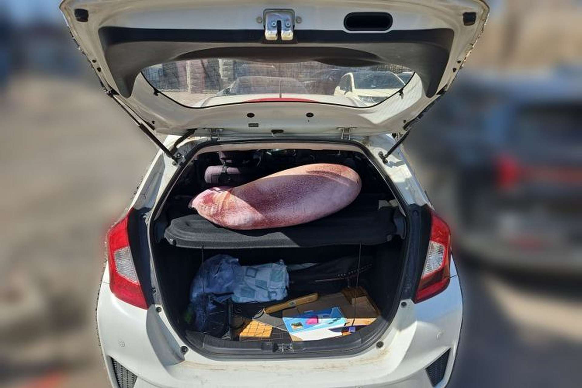 Used Honda Fit 2016 1.5L LXS CVT Comfort Sunroof Version Trunk