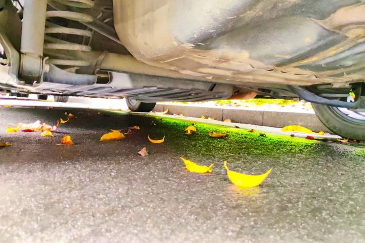 Used Honda Fit 2016 1.5L LX CVT Comfort Model Chassis Rear