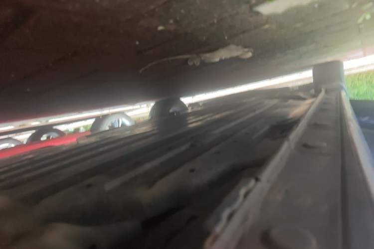 Used Honda Fit 2018 1.5L CVT Comfort Version Chassis Rear Left