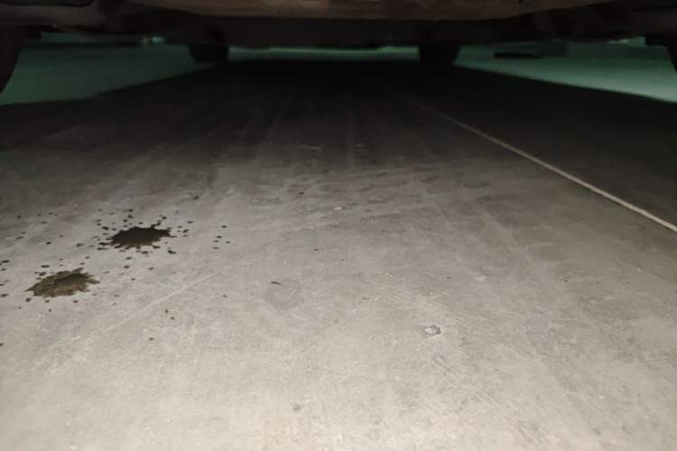 Used Honda Fit 2018 1.5L CVT Comfort Sunroof Version Chassis Rear