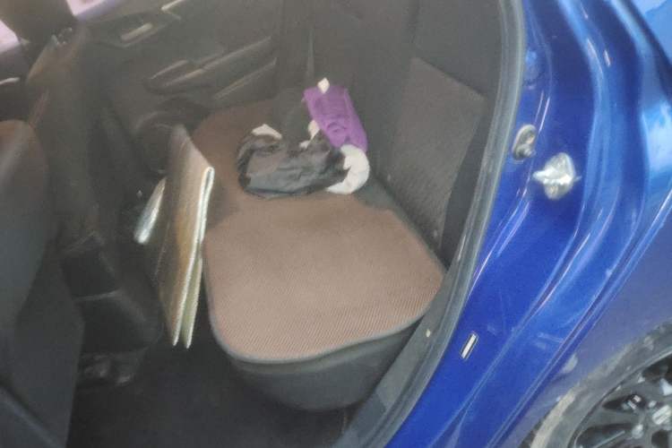 Used Honda Fit 2018 1.5L CVT Trendy Run+ Edition Left Rear Seat