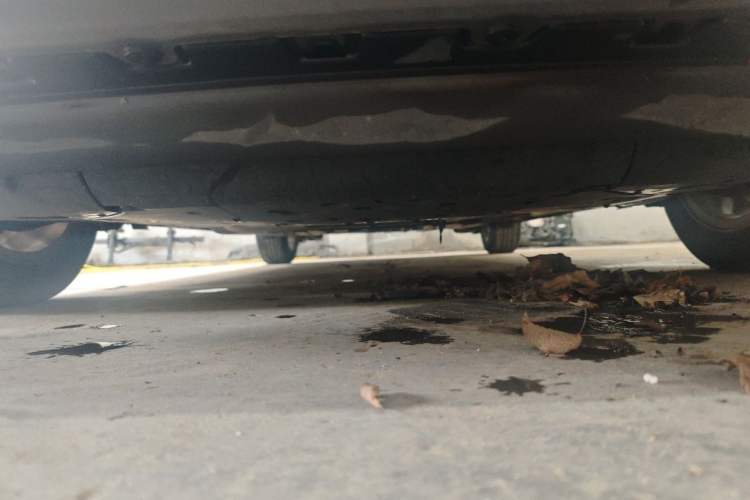Used Honda Fit 2018 1.5L CVT Comfort Sunroof Version Chassis Front