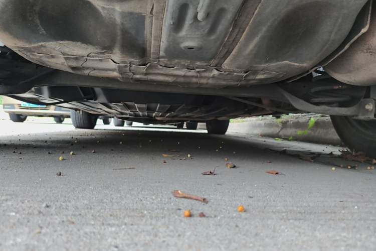 Used Honda Fit 2018 1.5L CVT Comfort Version Chassis Rear