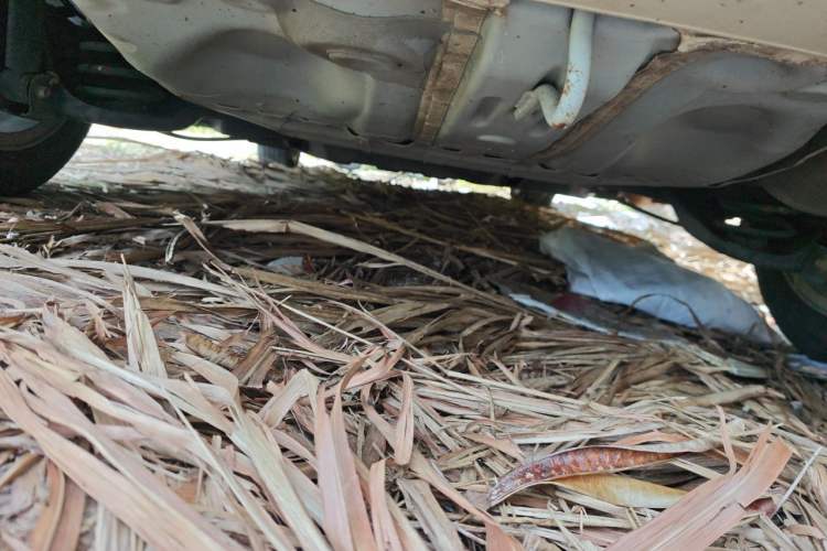 Used Honda Fit 2018 1.5L CVT Comfort Sunroof Version Chassis Rear