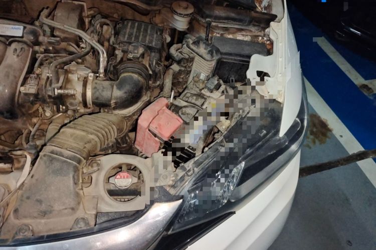 Used Honda Fit 2018 1.5L CVT Comfort Version Engine Bay Left