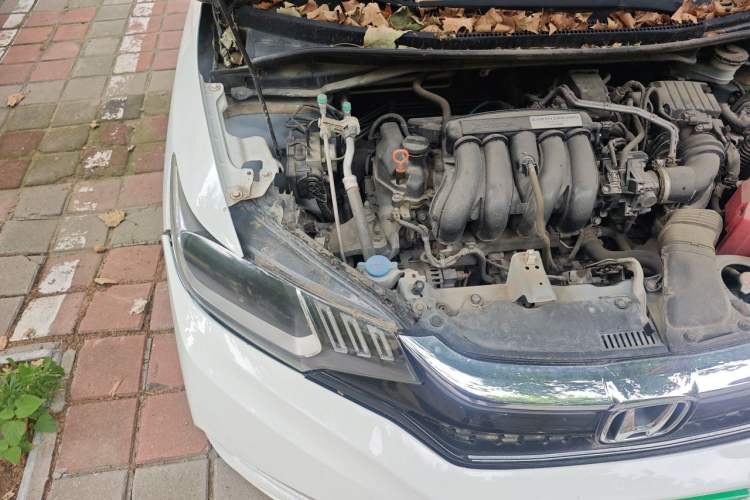 Used Honda Fit 2018 1.5L CVT Comfort Sunroof Version Engine Bay Right