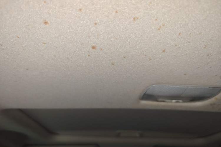 Used Honda Fit 2018 1.5L CVT Comfort Sunroof Version Headliner