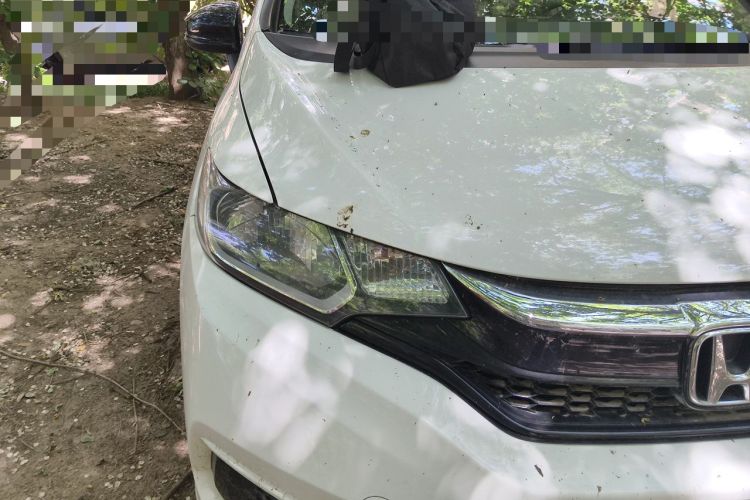 Used Honda Fit 2018 1.5L CVT Comfort Version Right Front Headlight