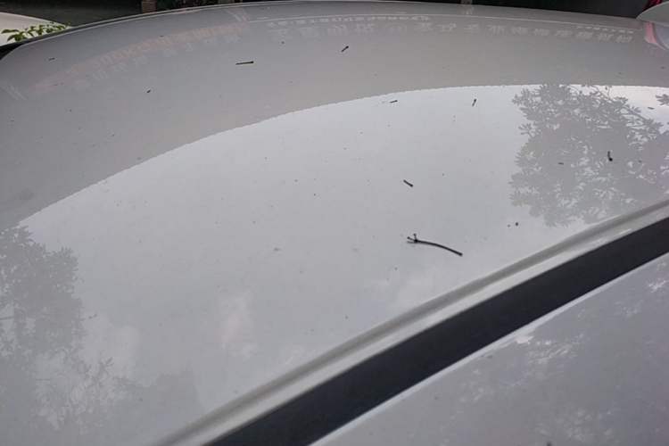 Used Honda Fit 2018 1.5L CVT Comfort Version Roof