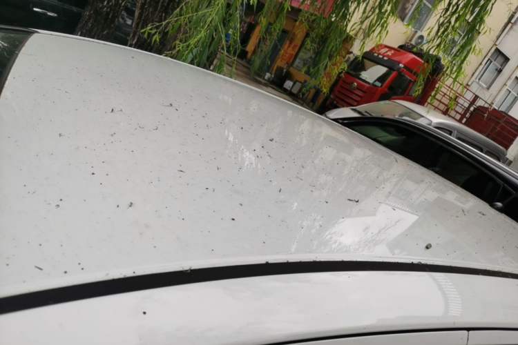 Used Honda Fit 2018 1.5L CVT Comfort Version Roof