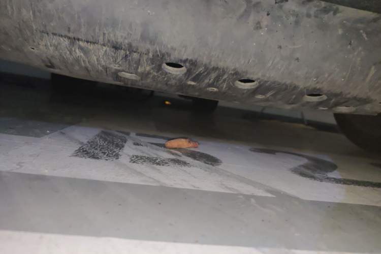 Used Honda Fit 2020 1.5L CVT Comfort Sunroof Version Chassis Front