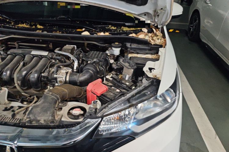 Used Honda Fit 2020 1.5L CVT Comfort Version Engine Bay Left