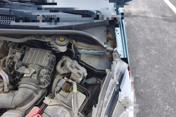 Used Honda Fit 2021 1.5L CVT Trendy Sports Edition Engine Bay Left