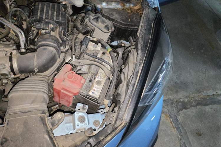 Used Honda Fit 2021 1.5L CVT Trendy Sports Edition Engine Bay Left