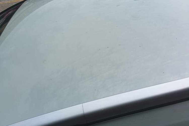 Used Honda Fit 2021 1.5L CVT Trendy Version Roof
