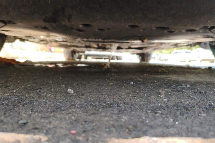 Used Honda Fit 2021 1.5L CVT Trend Edition Chassis Front