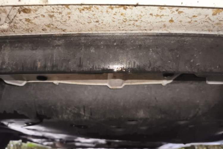 Used Honda Fit 2021 1.5L CVT Trendy Edition Chassis Front