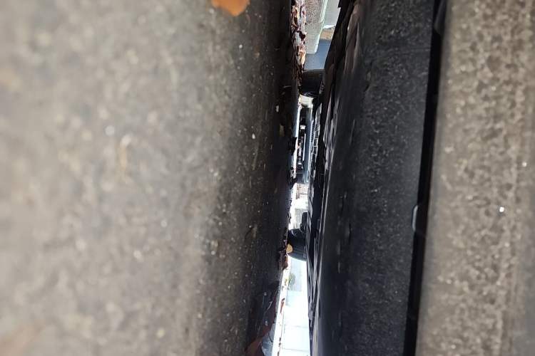 Used Honda Fit 2021 1.5L CVT Trendy Edition Chassis Front