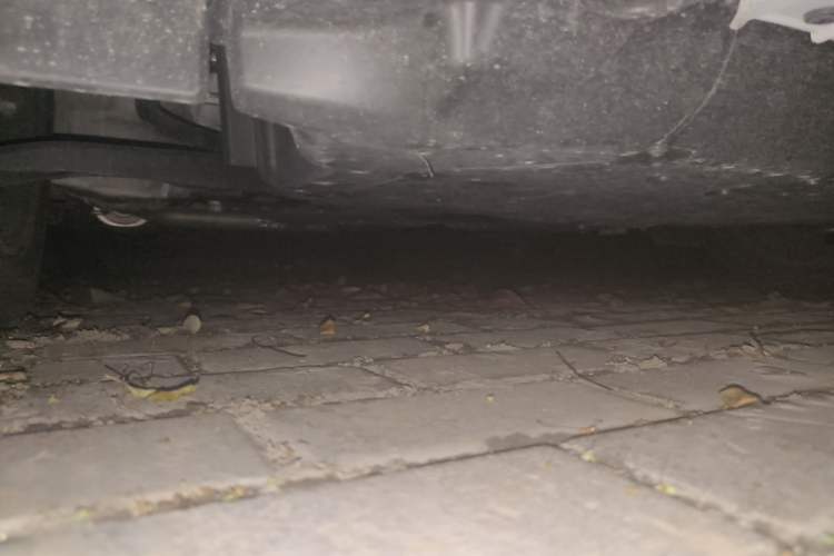 Used Honda Fit 2021 1.5L CVT Trend Edition Chassis Front Right