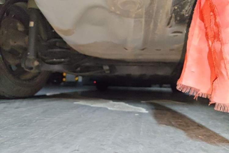 Used Honda Fit 2021 1.5L CVT Trend Edition Chassis Rear