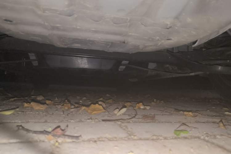Used Honda Fit 2021 1.5L CVT Trend Edition Chassis Rear