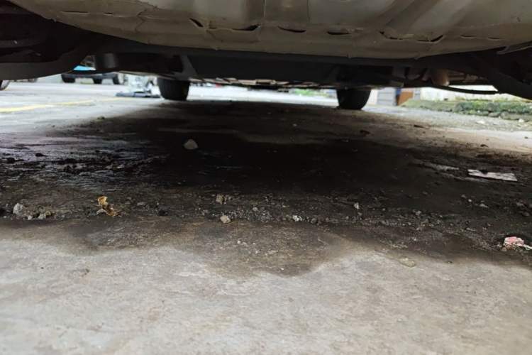 Used Honda Fit 2021 1.5L CVT Trend Edition Chassis Rear